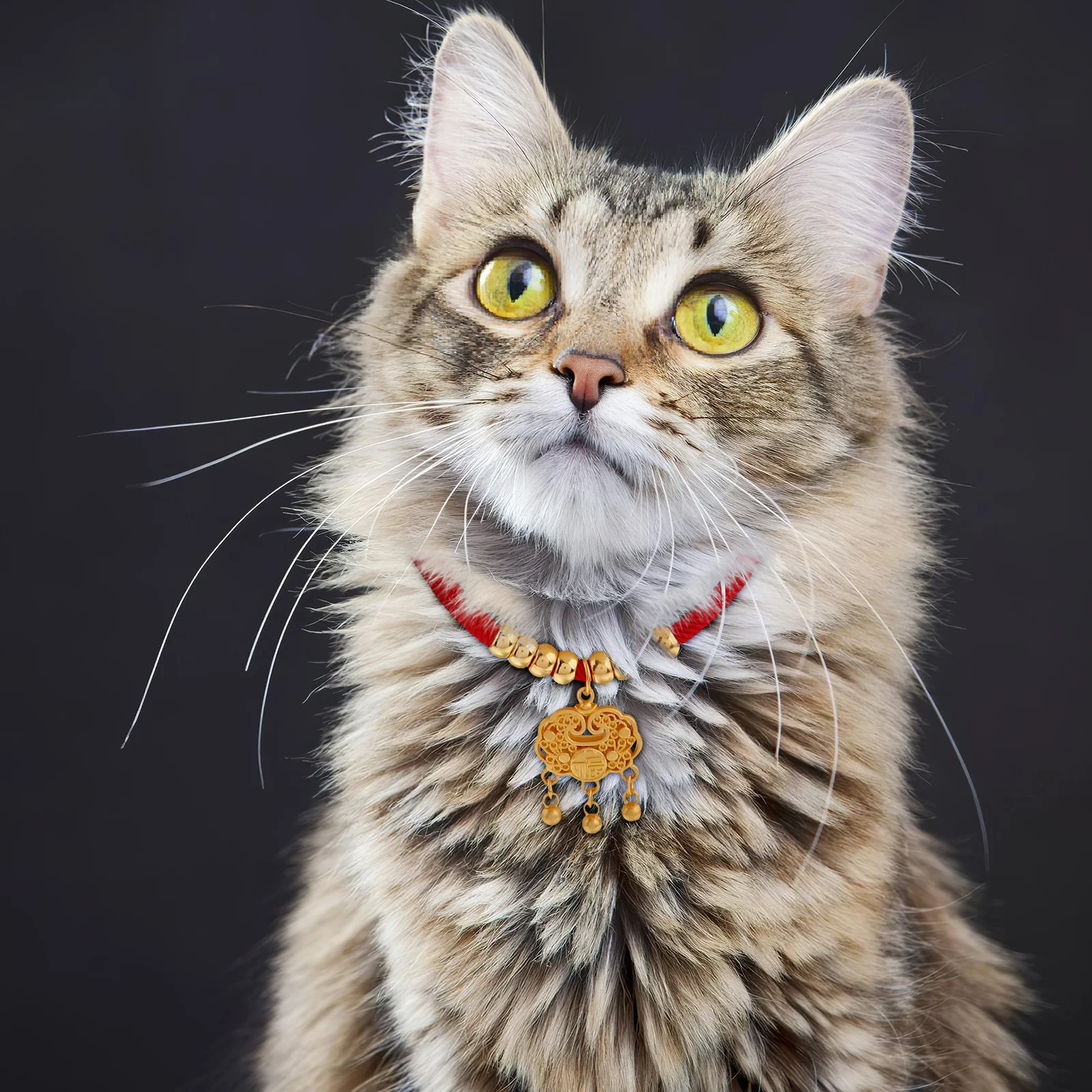

Pet Collar Necklace for Cats Dogs Red Rope Gold Beads Adjustable Durable Fade Resistant Craftsmanship Unique Design Dog Jewelry