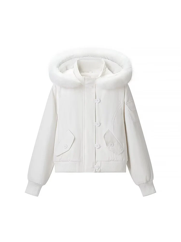 

European style new women's fashion, versatile and elegant, solid color short cotton jacket with detachable fur collar.