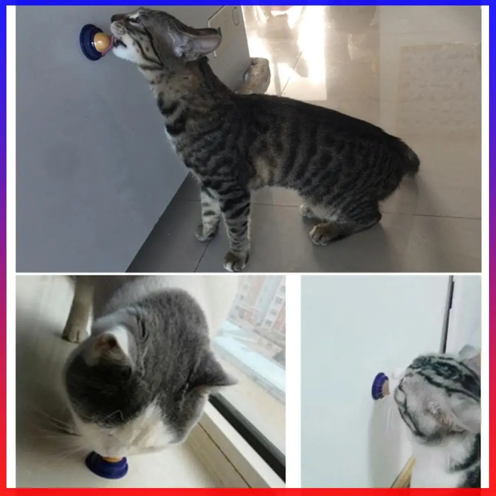 Healthy Cat Snacks Licking Solid Natural Catnip Long Strong Transparent Cover Fish Glue Convenient Portable Pet Cat Products