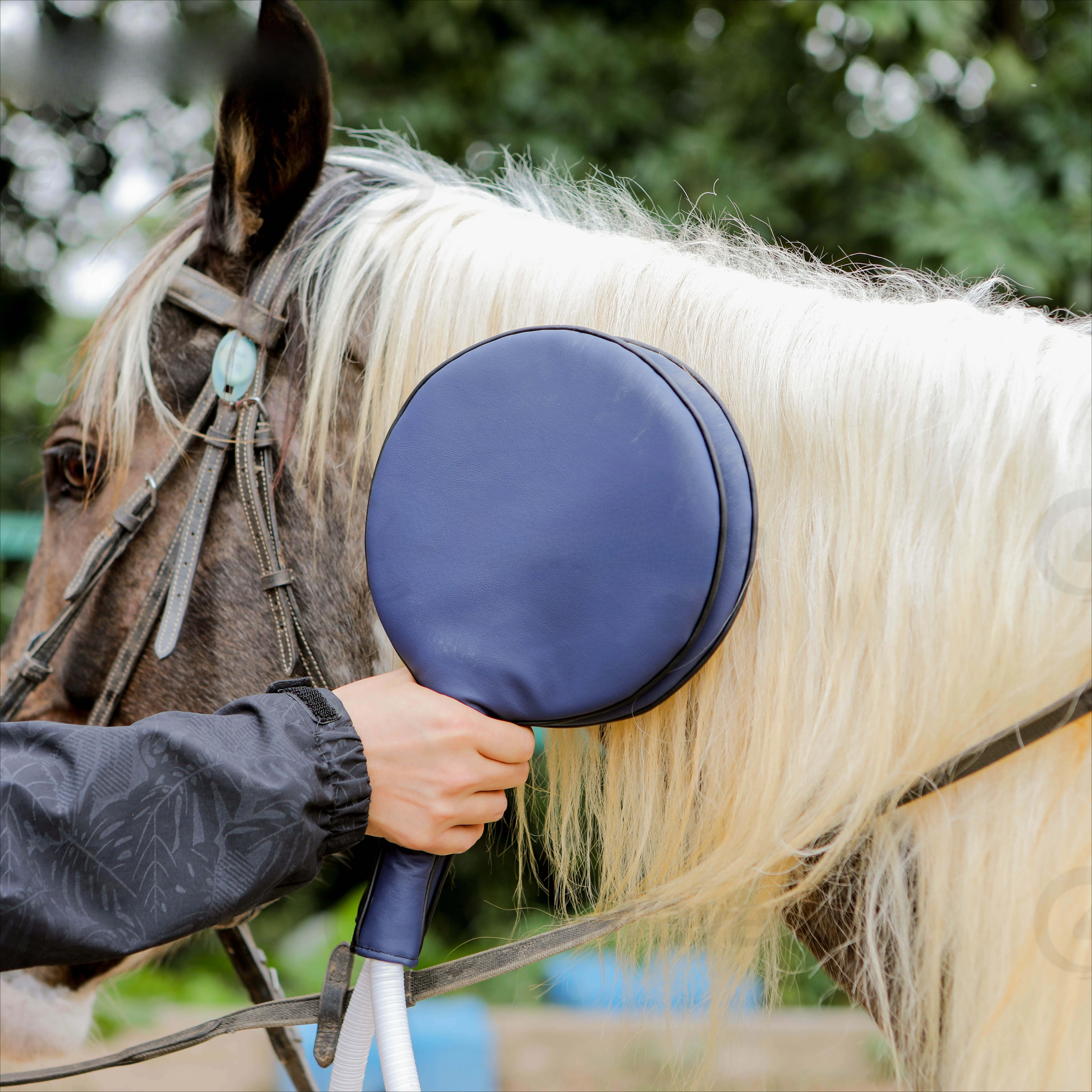 

Магнитотерапевтические ручки для облегчения боли в лошадях PMST Магнитное устройство Лошади Животные