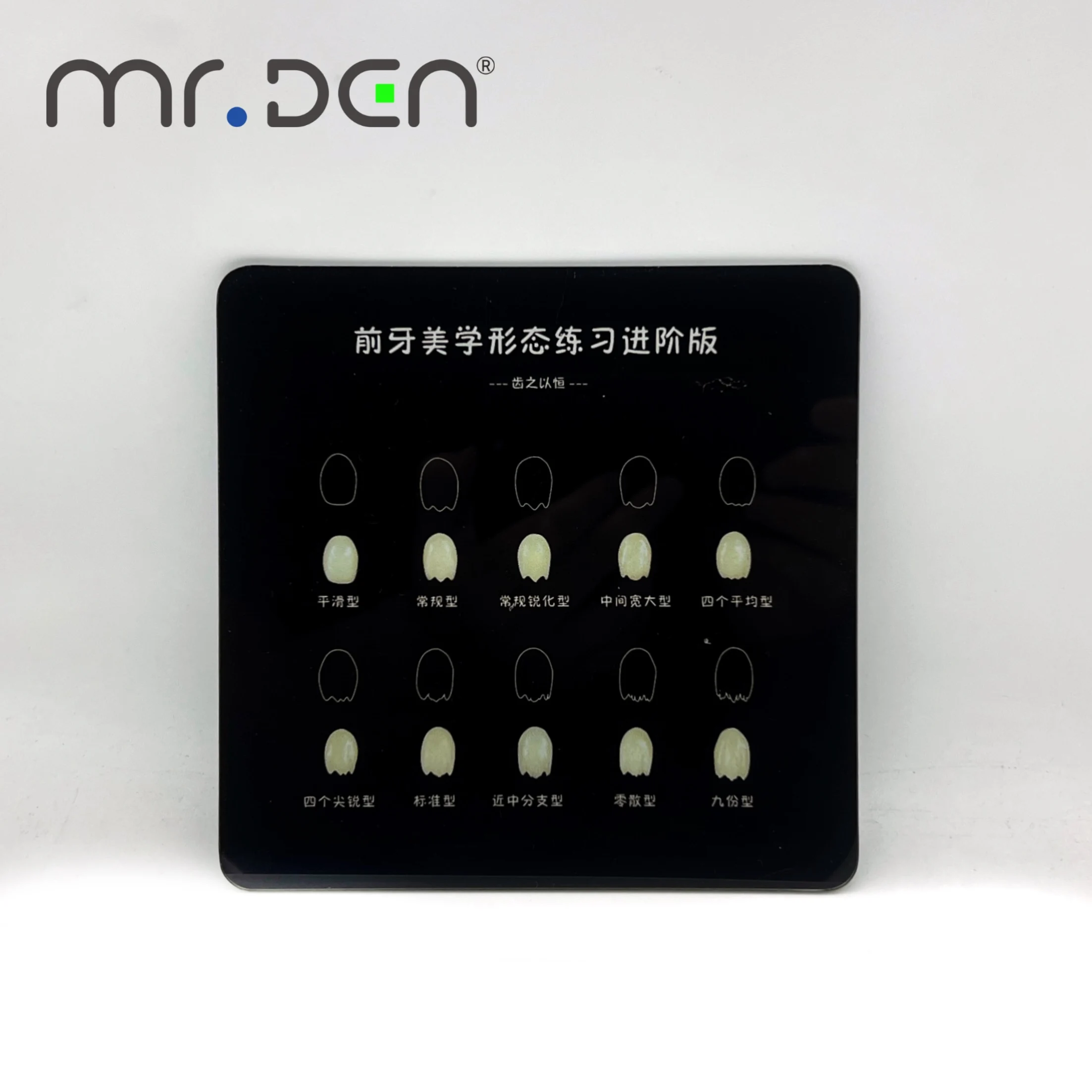 Picture 7: High Fidelity Dental Resin Filling Practice Board with Realistic Teeth Structure for Dentist Training and Skill Improvement