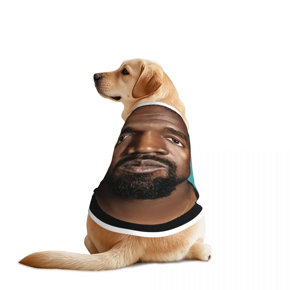 Breathable Funny Kanye West Meme Pet Vests Rapper Music Producer Pet Clothing Decoration Fashion Summer Pet Dog Clothes