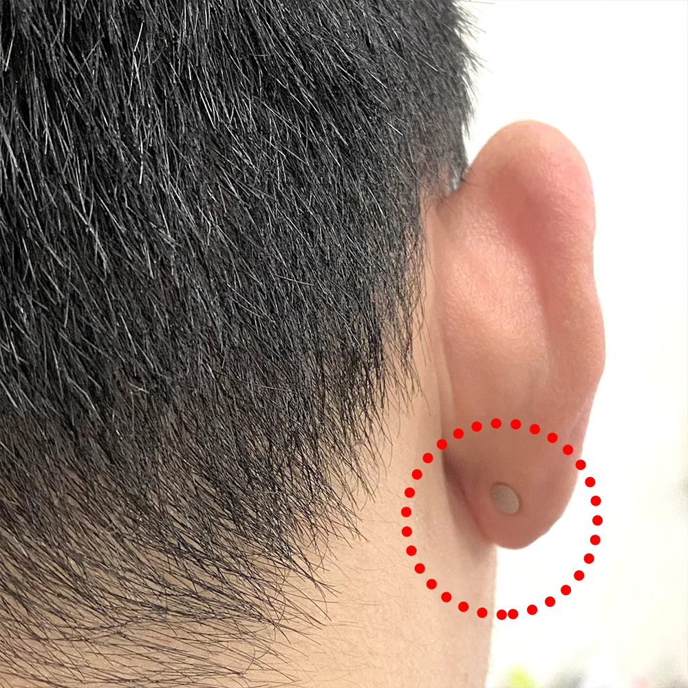 12 Pair/Lot Random Mix Earring  6/8/10mm Round Crystal Rhinestone Women Mens Magnet  Stud Ear Clip Fashion No Piercing Jewelry