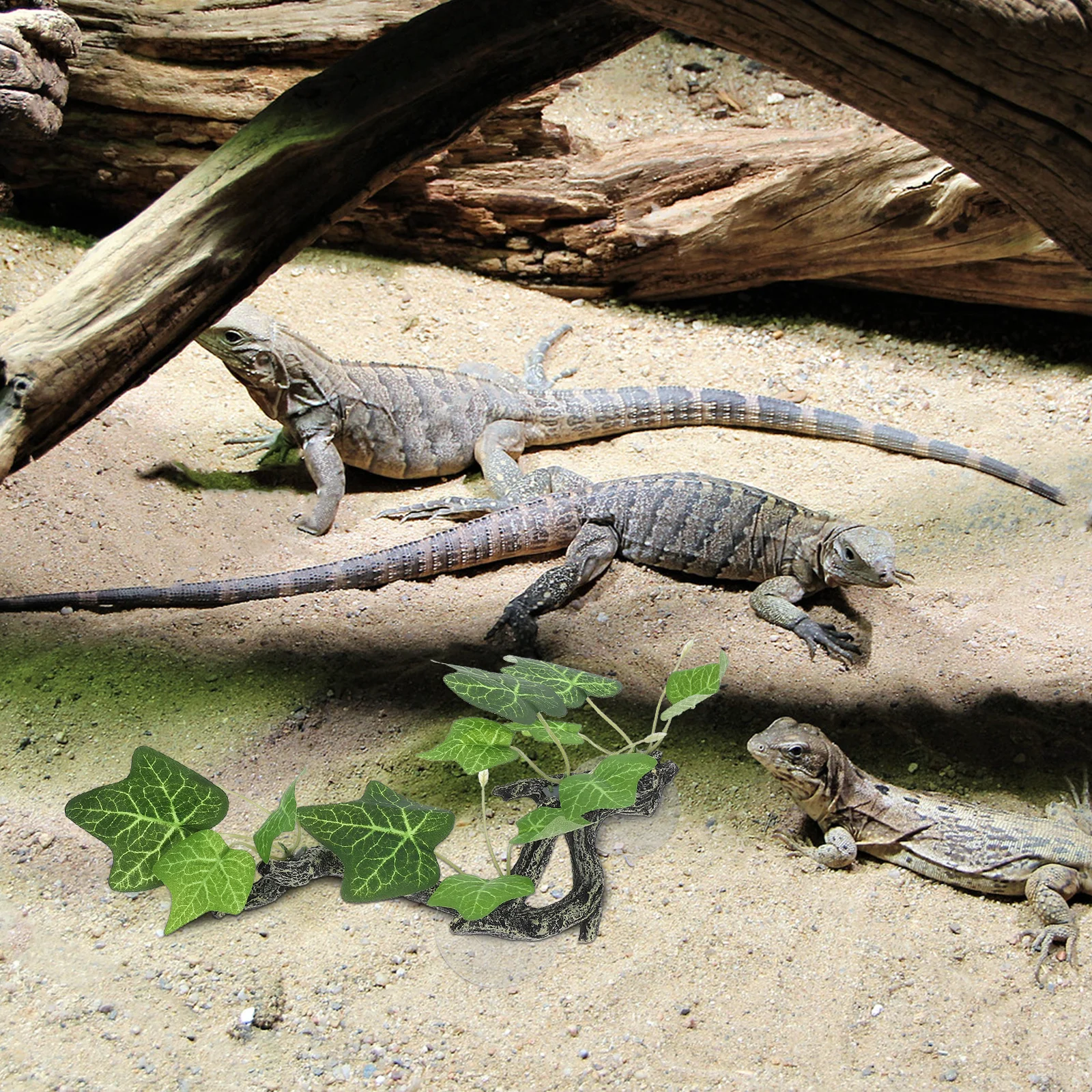 

Reptile Tank Accessories Realistic Resin Plant Decoration for Amphibian Habitat Climbing Resting Spot Lifelike Appearance