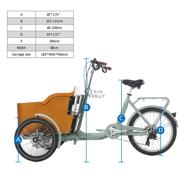 Classical Electric Adult Tricycle Kid Tricycles Dog Pets Pedal 3 Wheels Cargo Bike For Sale