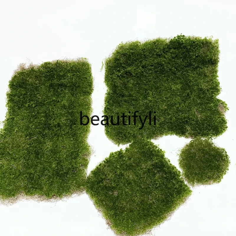 Moss lawn moss, turf green landscape, decorative interior, green plant wall rockery display