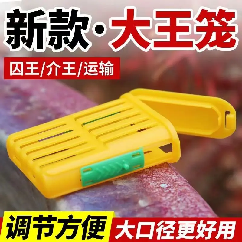 Multi functional Prisoner King Cage Plastic Anti Escape Tool for Chinese and Italian Bees - New Type of Bee King Storage Device