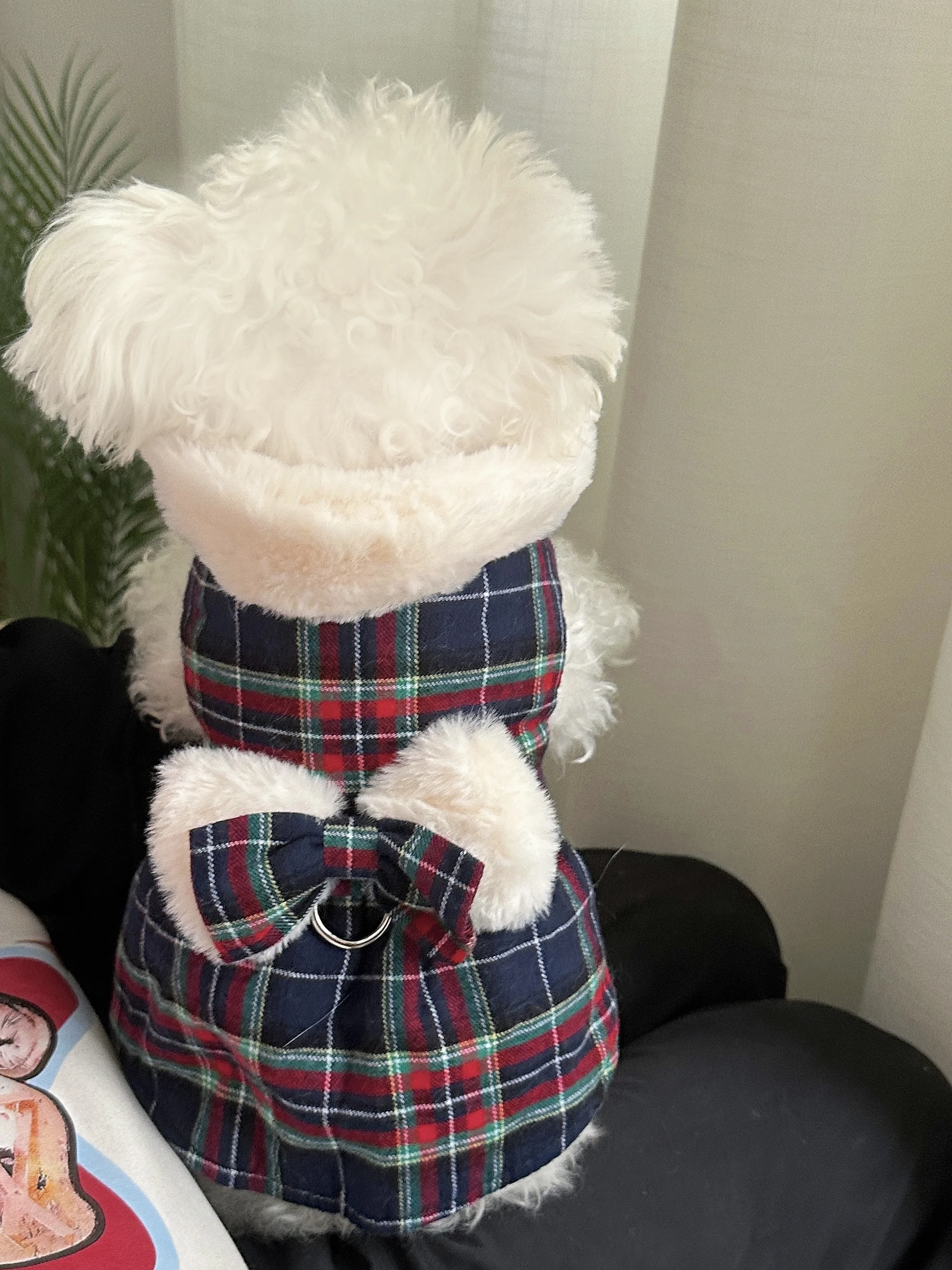 

Теплая юбка-плед Cisas для собак мелких пород, осенне-зимняя одежда для питомцев: Тедди, Померанский шпиц, Бишон...