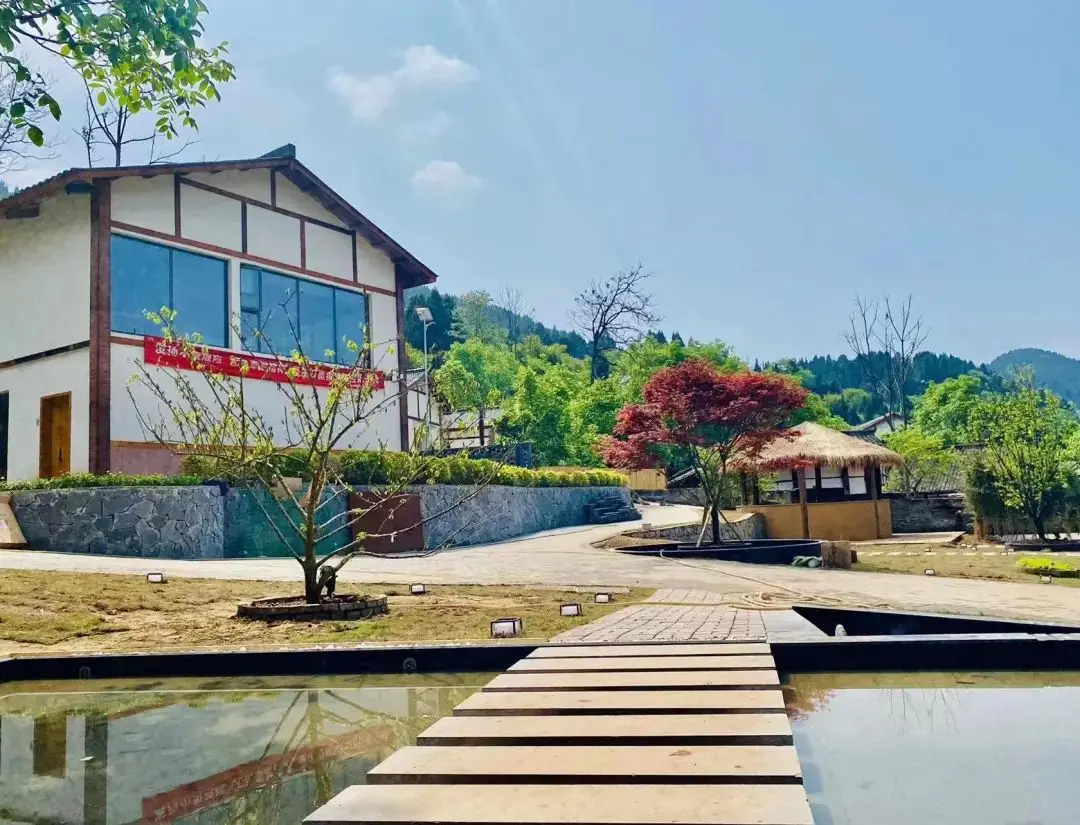 Wltoys 244016 Modellzubehör 3346 Hundeknochenset 2 Sätze anfällig grenzüberschreitend 1:24 Teile RC