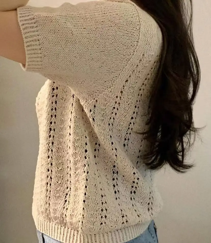 2026 summer new minimalist lazy style round neck hollow short sleeved women's lightweight and age reducing versatile knitting