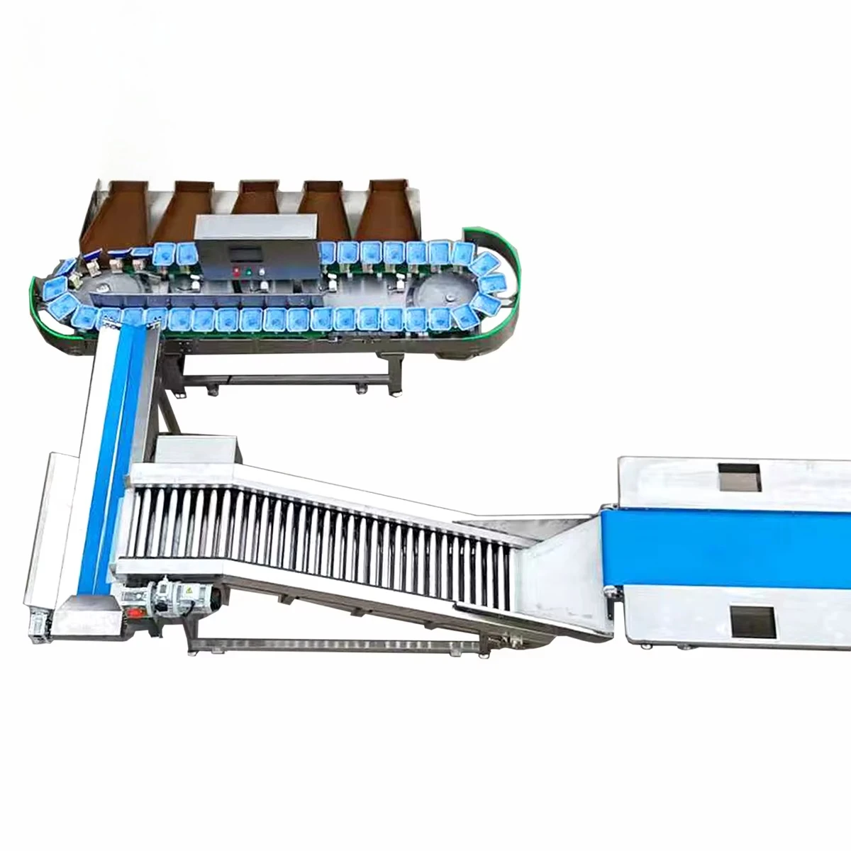 Weight Grading Machine for Fruit Processing Plant Fruit Vegetable Avocado PLC High Accuracy Sorting Customized 3-18 Grades