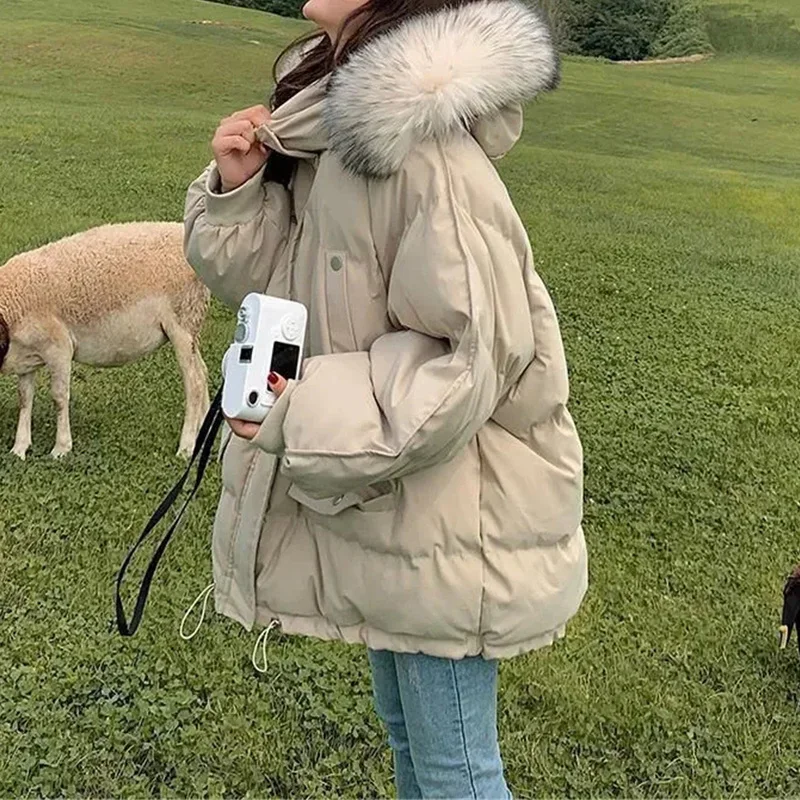 Abbigliamento per il pane da donna parka coreano in tinta unita semplice studente cappotti di cotone larghi collo di pelliccia invernale con