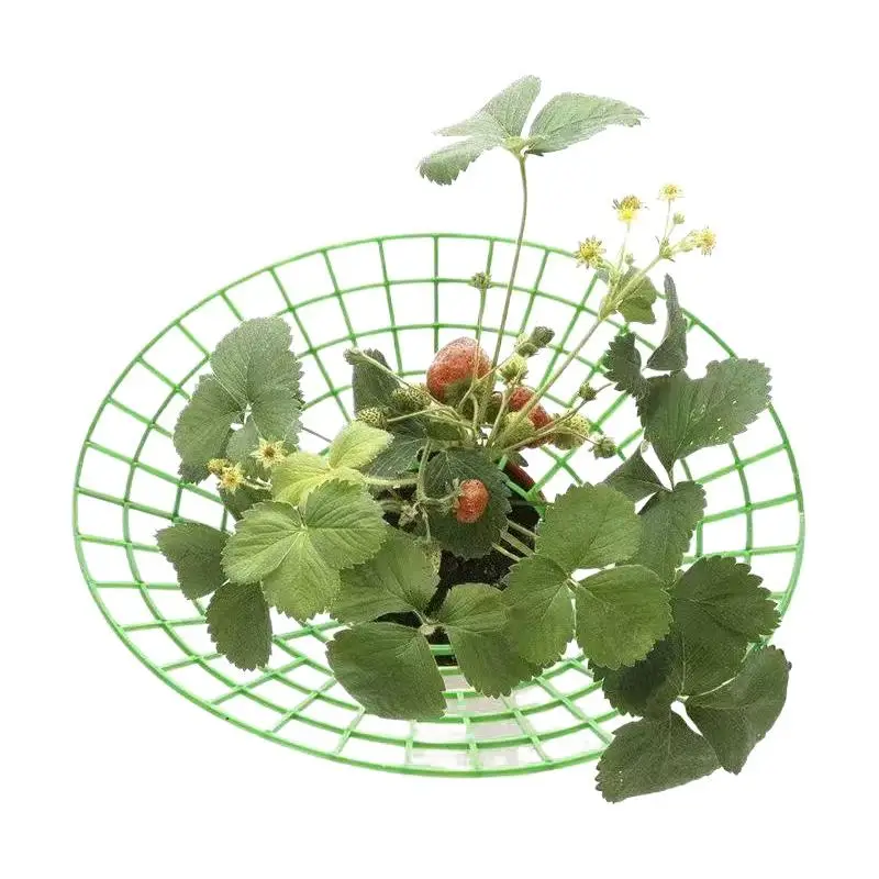 Heavy Duty Strawberry Plant Support Stand with Legs Crack-resistant Plastic Round Growing Rack for Outdoor Farm Planting