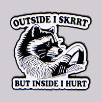 Cute Raccoon Driving Enamel Pin Brooches for Women Men Lapel Pins Badges on Backpack Clothes Accessories Animal Jewelry Gift