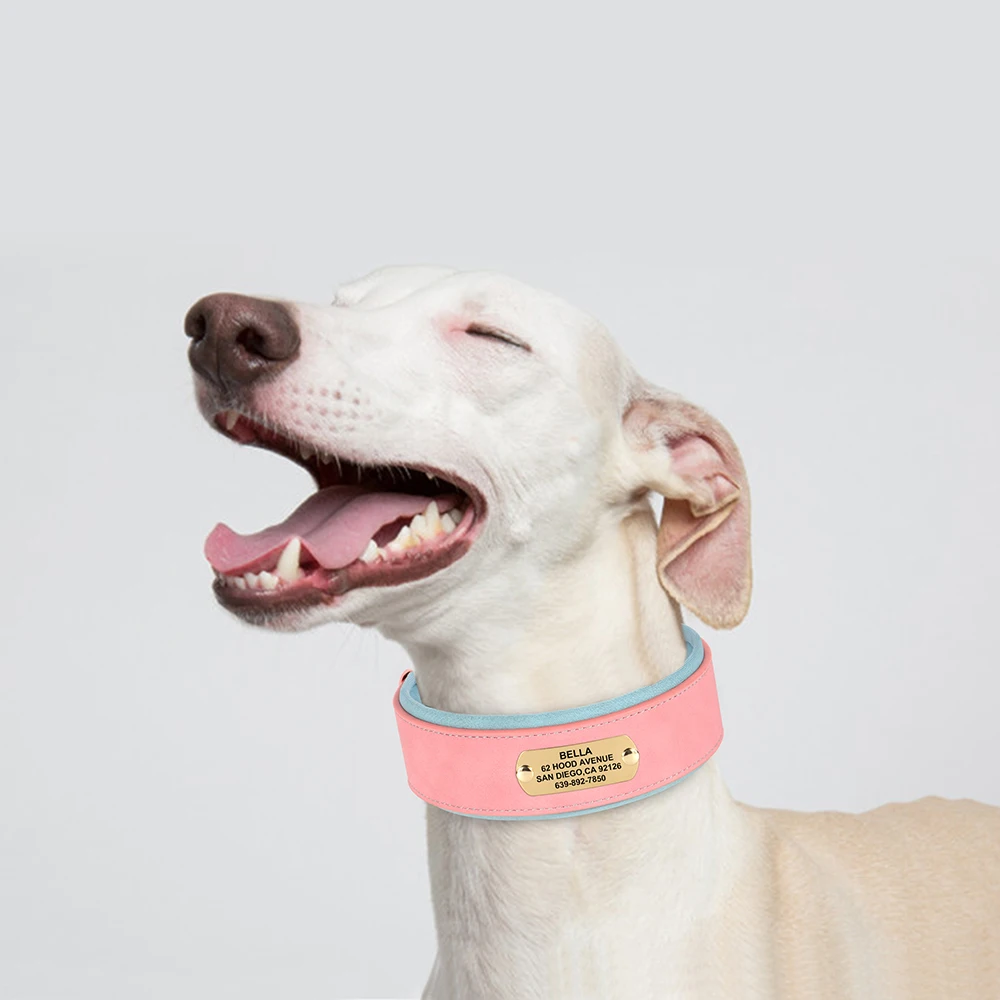 Personalisiertes breites Hundehalsband aus PU-Leder, individuelle Hundehalsbänder, gepolstertes Haustierhalsband für kleine, mittelgroße und große Hunde, Pitbull Buldog – Detail 9