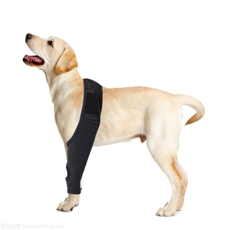 2025 New Enhances Recovery Aid Leg Sleeve for Dogs Offering Wound Protections and Comfortable Fit for Large Pets During Recovery