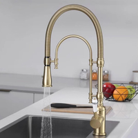 Brush Gold Pull Out Kitchen Faucets Black Faucet For Kitchen Sink Single Lever Spring Spout Mixers Taps Hot And Cold Water Crane