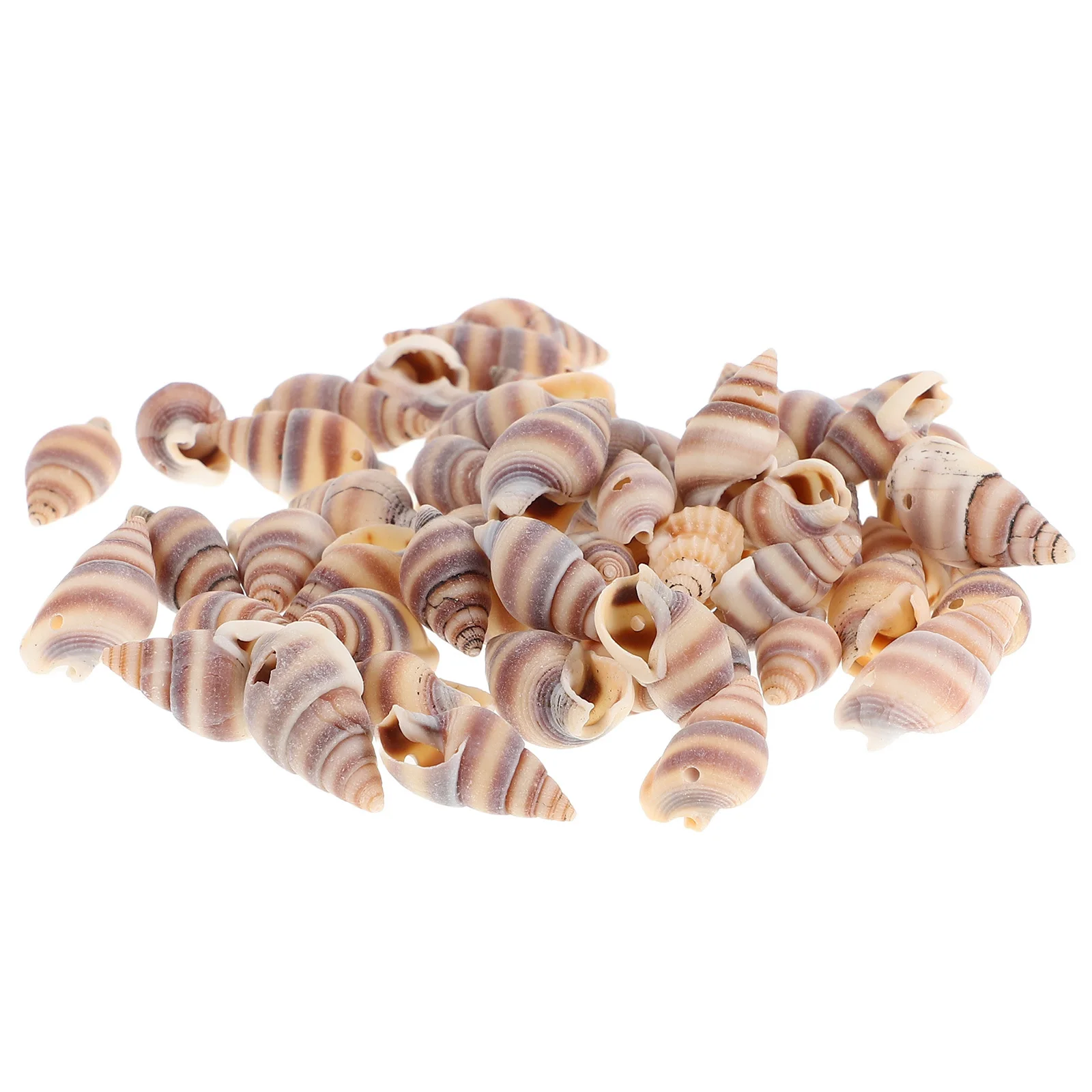 

100Pcs Conch Pendants Meticulously Drilled DIY Jewelry Making Accessories Seashell Beads Necklace Earrings Craft Projects