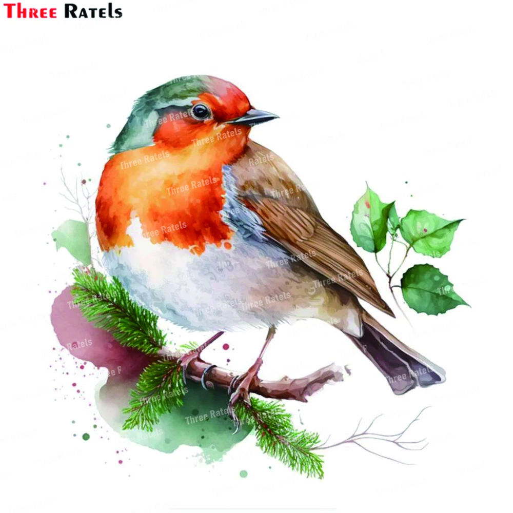 Three Ratels K900 Hummingbird Waterproof Wall Stickers And Posters Home Decoration Bedroom