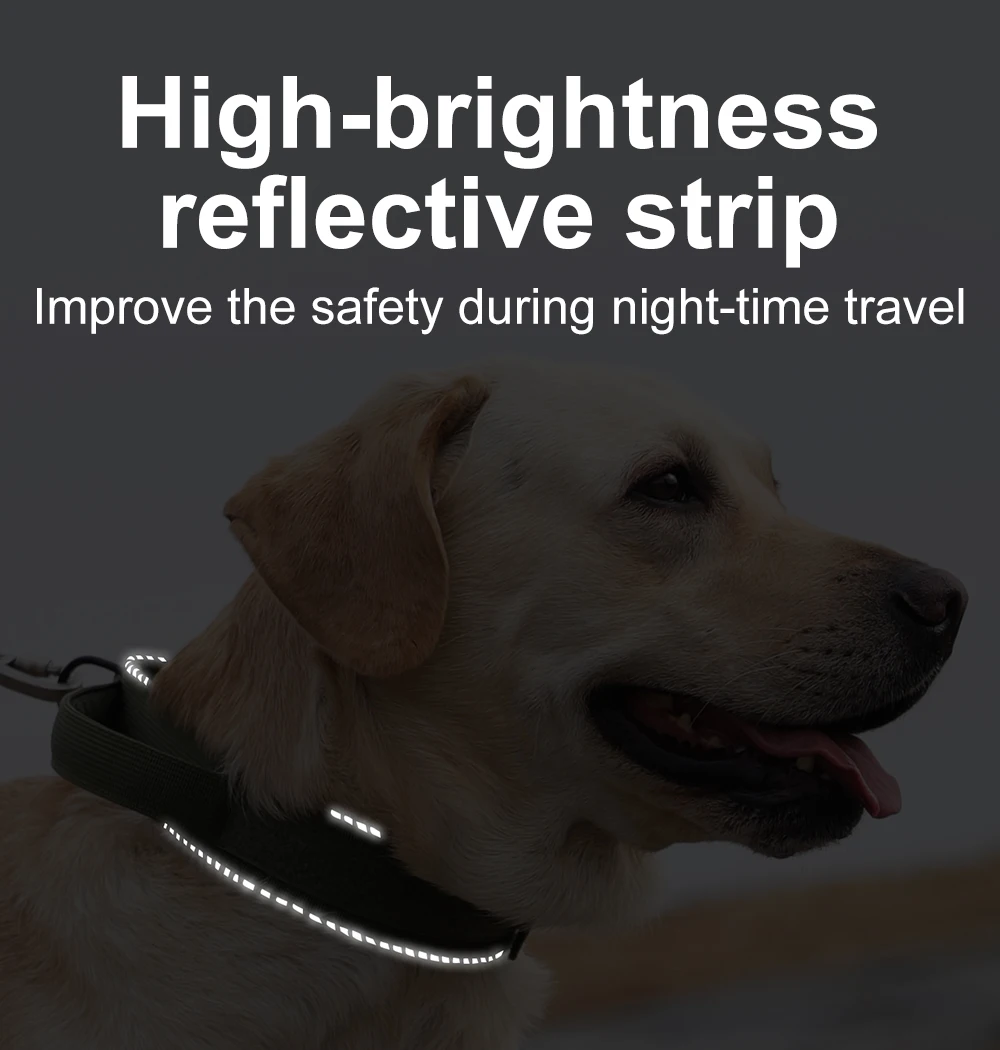 Taktisches Hundehalsband, verstellbares Hundehalsband für mittelgroße und große Hunde, Golden Retriever-Halsband mit Kontrollgriff, hochwertige Schnalle. – Detail 11