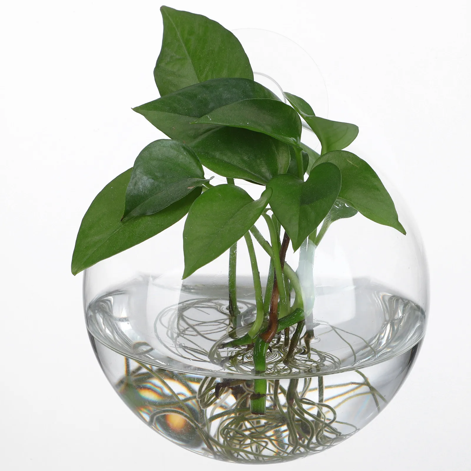 

Набор из 4 элегантных настенных стеклянных ваз для растений: компактные подвесные кашпо для цветов, растений, террариумов, декор для стен