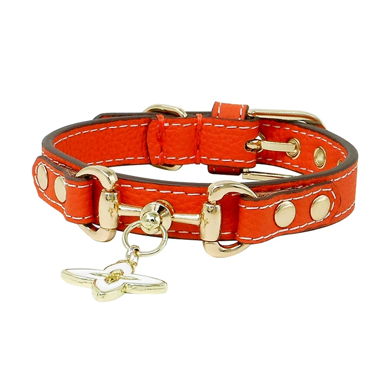 Elegant Orange Leather Pet Collar with Golden Hardware for Fashion - Loving Pets