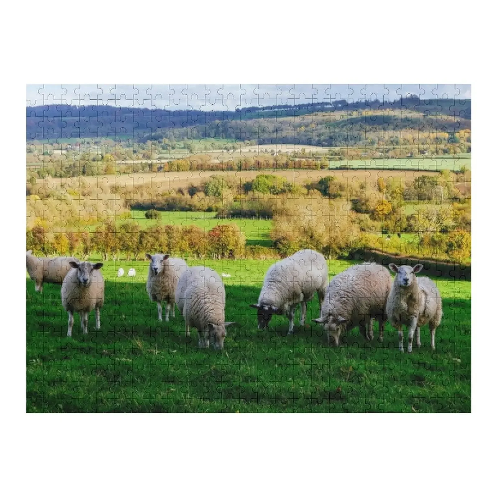 

Sheep in the Cotswolds Jigsaw Puzzle Baby Toy Novel Toys For Children 2022 Personalized Gift Married Puzzle