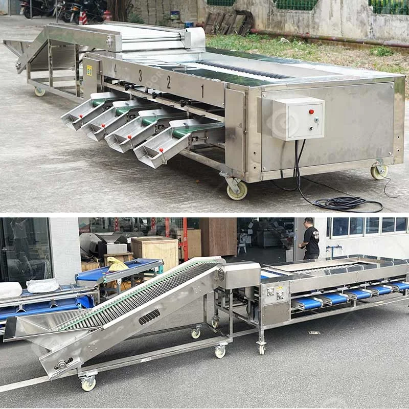 

Electronic Fruit & Vegetable Sorting Grader Line - Automatic Wash and Waxing Machine for Pineapple, Garlic, Carrot