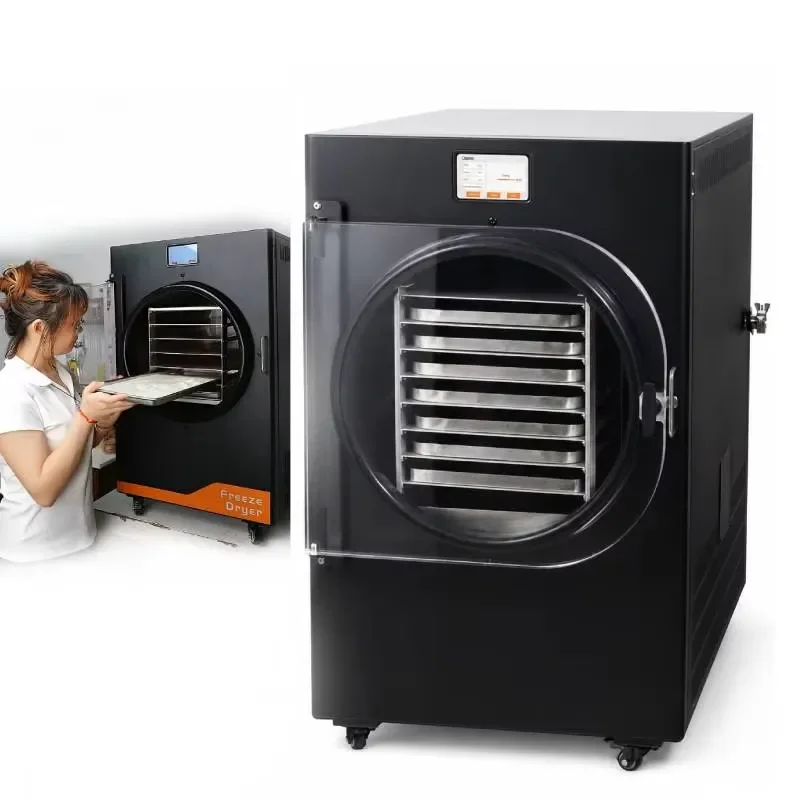 20kg 220V Commercial Mini Freeze Dryer 7 Disc Tray for Fruit Candy Easy to Use In Stock with 1 Year Warranty