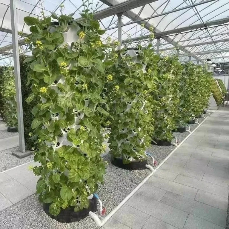Large Hydroponics Greenhouse Glass Vertical Farming Tower Garden System Double Layer LOYALSHINE