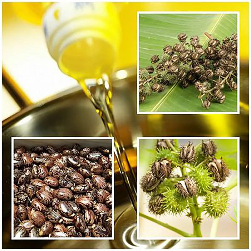 Traditionally Cold-Pressed Castor Seed Hot Oil Hair Scalp Strengthening & Nourishing Locks in Moisture