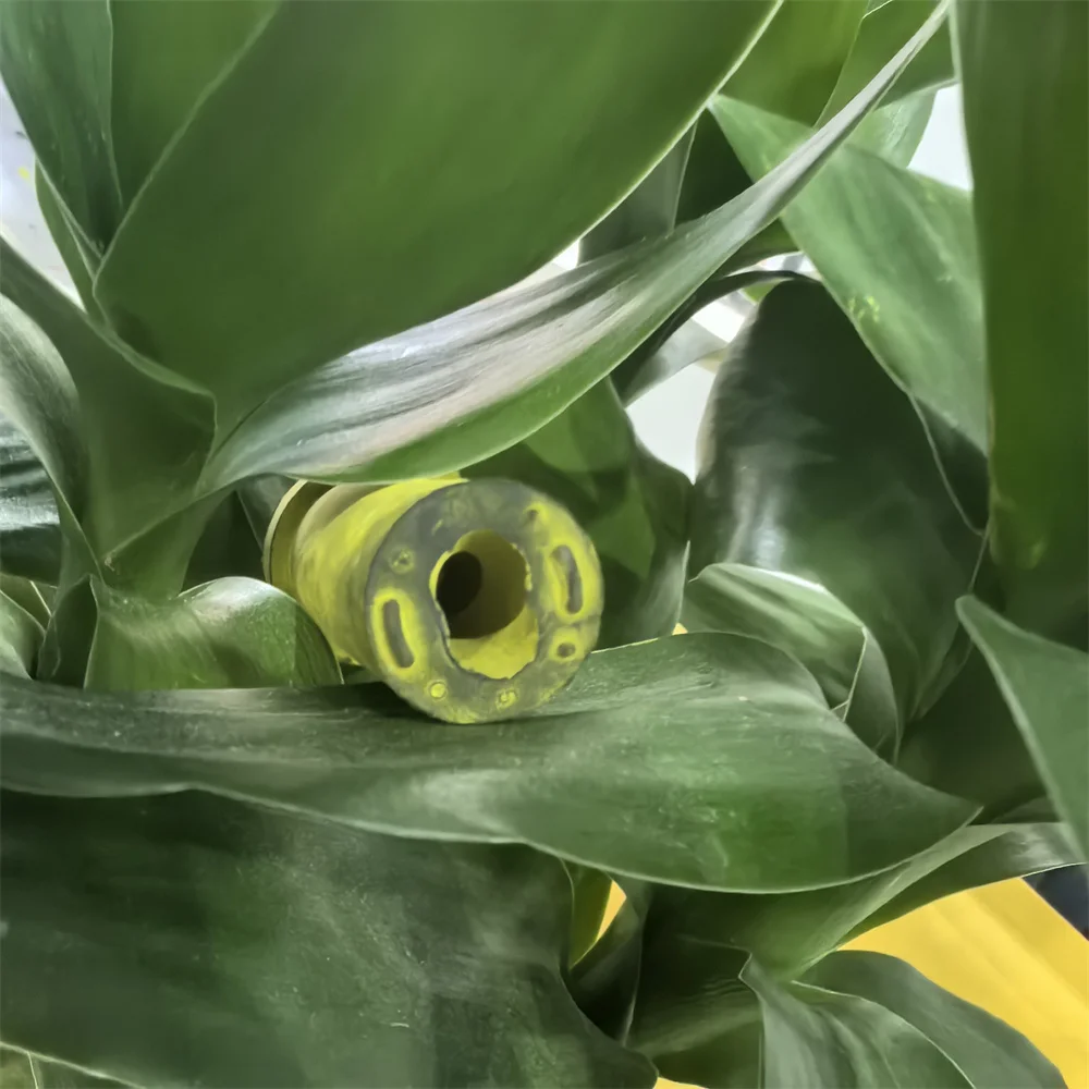 5Pcs. W523-2110 Ton…