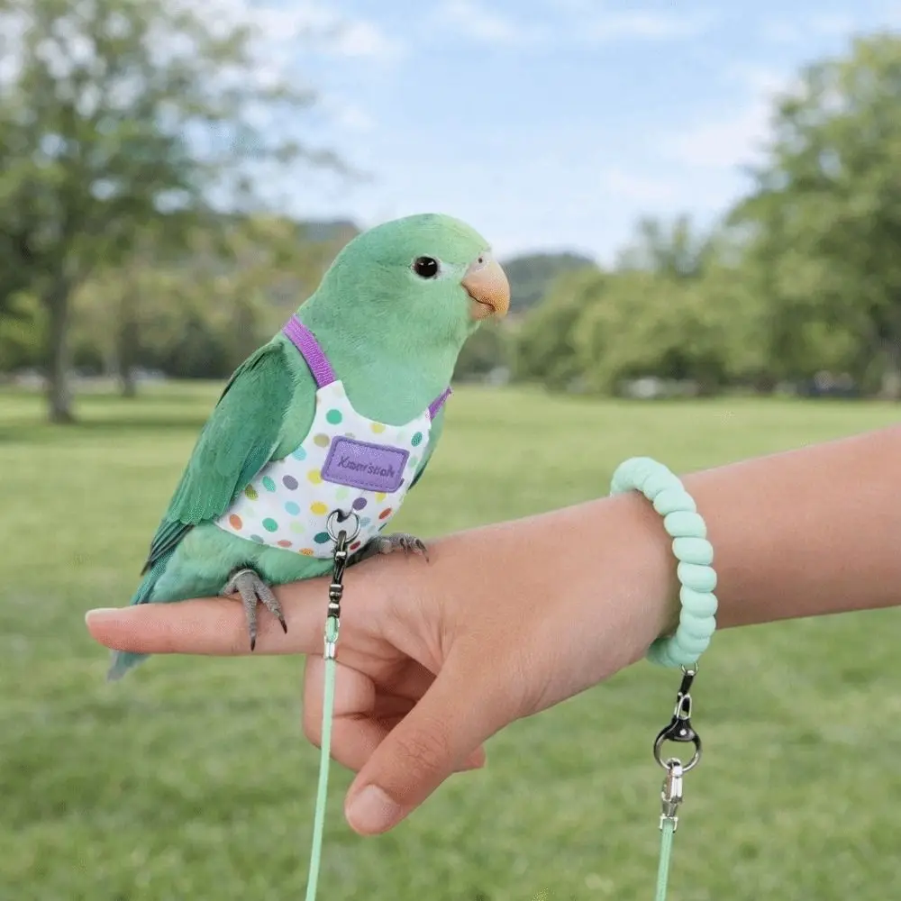 Escape Proof Parrot Flying Harness Breathable Polka Dot Print Bird Flight Suit Anti-Bite Bird Outgoing Leash Avian Vet Visits