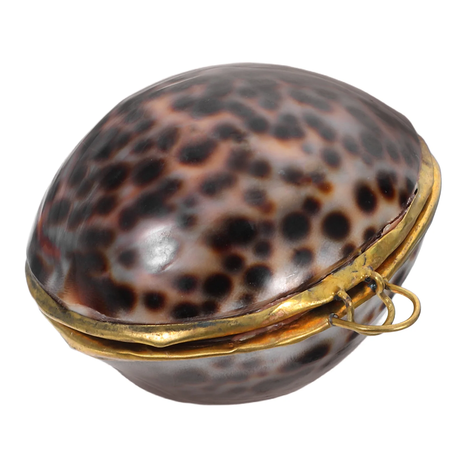 

Shell Jewelry Box Sea Style Premium Quality Gift Storage Organizer For Wedding Anniversary Birthday Ring Earring Necklace Case