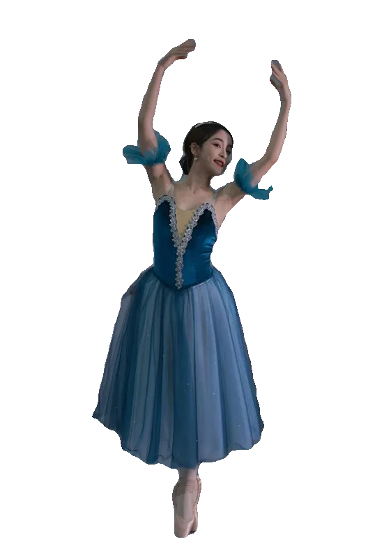 Professional Ballet Long Skirts Blue Dancing Costumes Party Dresses Stage Performance Dance Wear Ballet Leotard For Women