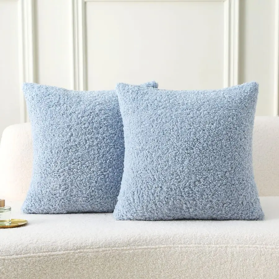 

Light Blue Throw Pillow Covers 22x22 Inch Set of 2,Furry Faux Fur Teddy Boucle Textured Cushion Covers,Soft Fluffy Decorative Pi