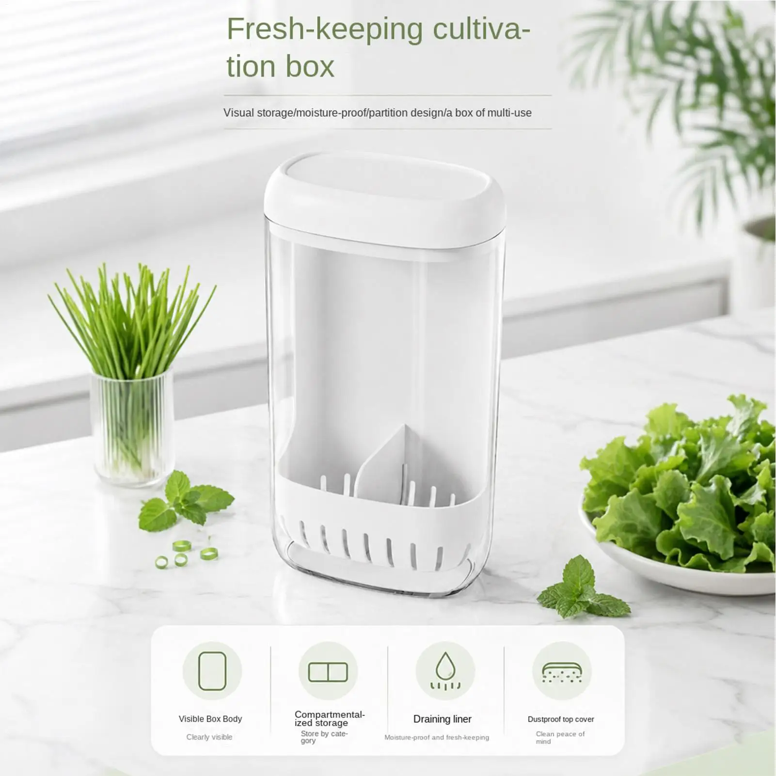 Refrigerator Herb Crisper Saver Pod Container Vegetable Preserving Bottle Keep Herb/Cilantro/Mint/Parsley/Asparagus Fresh Gr