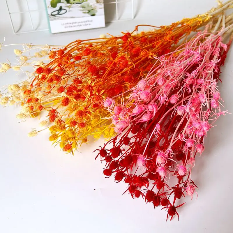 Lover Fruit Dried Flower, Living Room Decoration, Wedding Decoration, Bedroom Wall, Artificial Plants, Small Prickly Hemlock