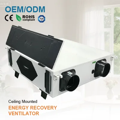 

IGUICOO Потолочная приточно-вытяжная установка с рекуперацией тепла 800 CMH, боковая дверца для обслуживания, гибкий современный промышленный дизайн для отелей