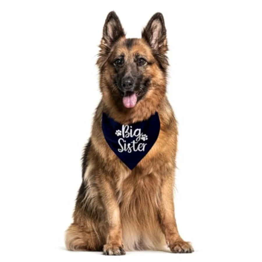 Big Sister Dog Bandana, Funny Pet Triangle Scarf for Pregnancy Reveal Daily Walk Playdate Birth Announcement Photo Outfit, Neck view 3