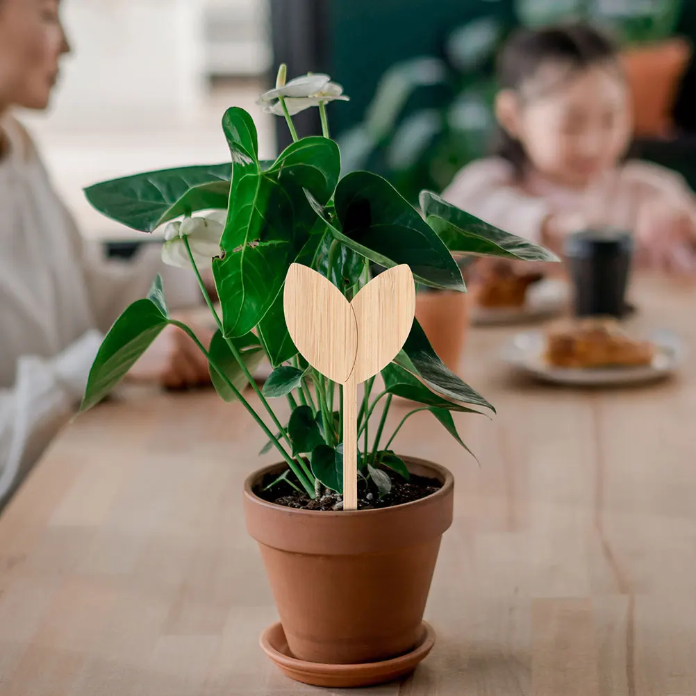 

40pcs Wooden Plant Labels Fade Resistant Easy to Write for Gardens Greenhouses Flower Beds Succulents Nursery Plants Landscaping
