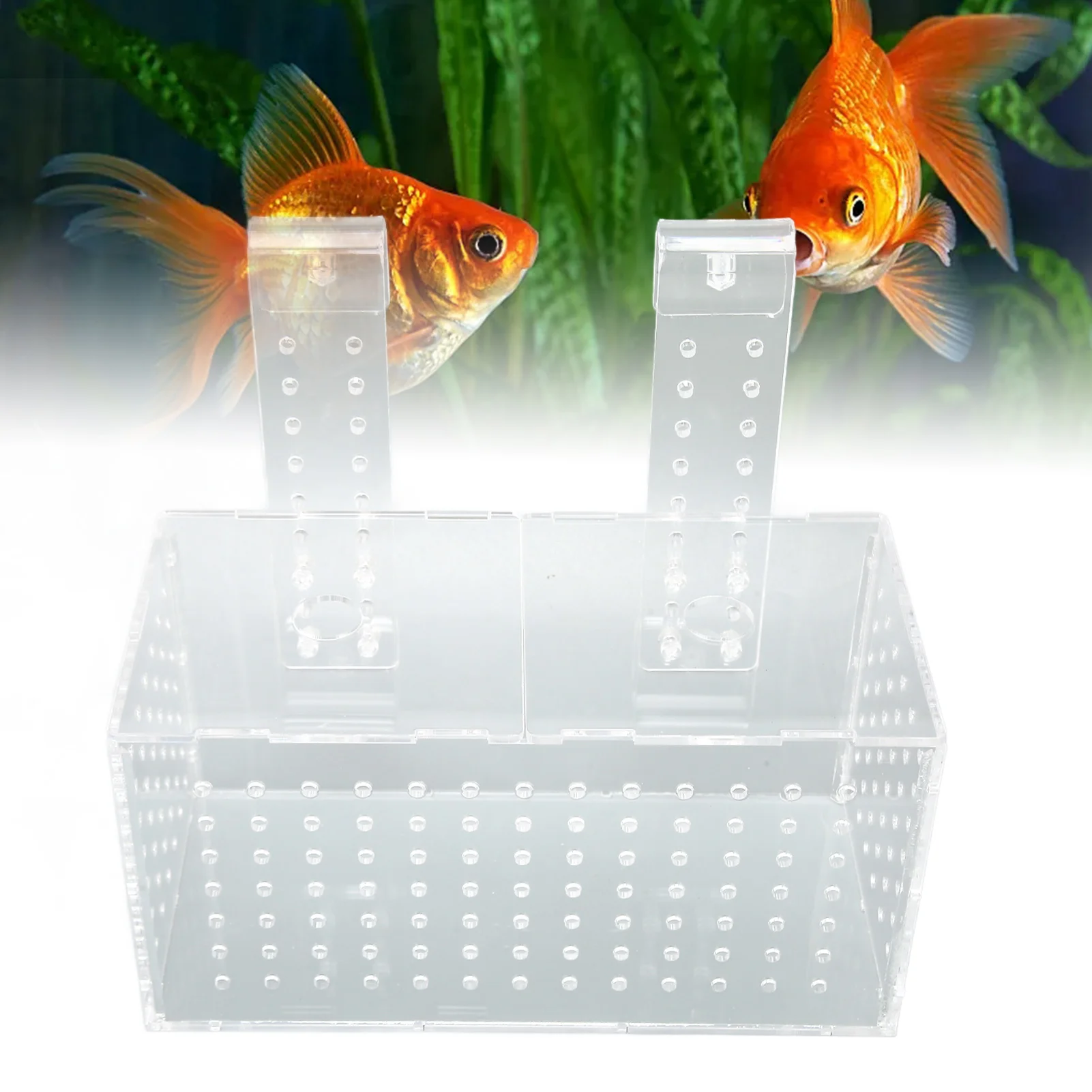 

Fish Breeding Isolation Box Transparent Hook Installation Acrylic Aquarium Hatchery For Fish Tank