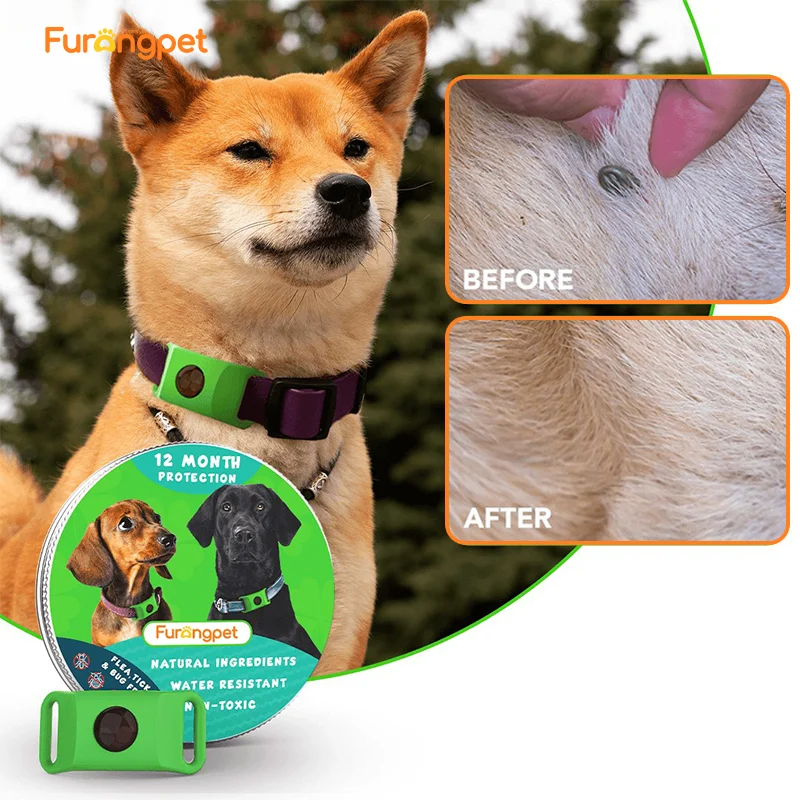 

Wearable Essential Oil Tag for Pets, Natural Flea & Tick Repellent Pendant, Clip-on Dog Cat Collar for Continuous Protection