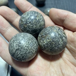 Dinosaur Bone  Ball Natural Stone Sphere Smooth Polished Pebble Reiki Healing Chakra Stone Home Decoration