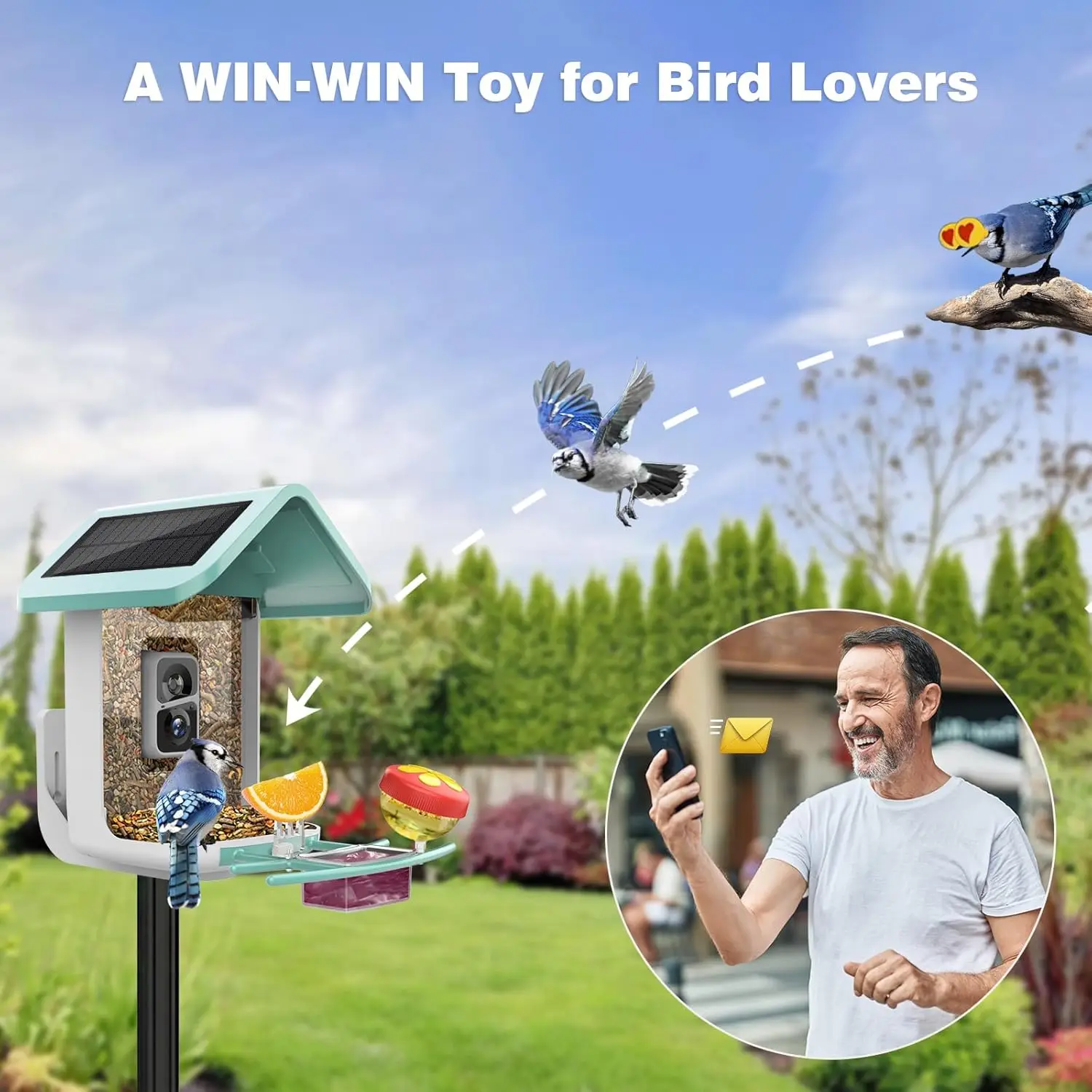 Bird Feeder with Camera: Solar Powered Smart Bird Camera Feeder 2K Live Feed for Backyard - AI Identify Auto Capture Bird Videos