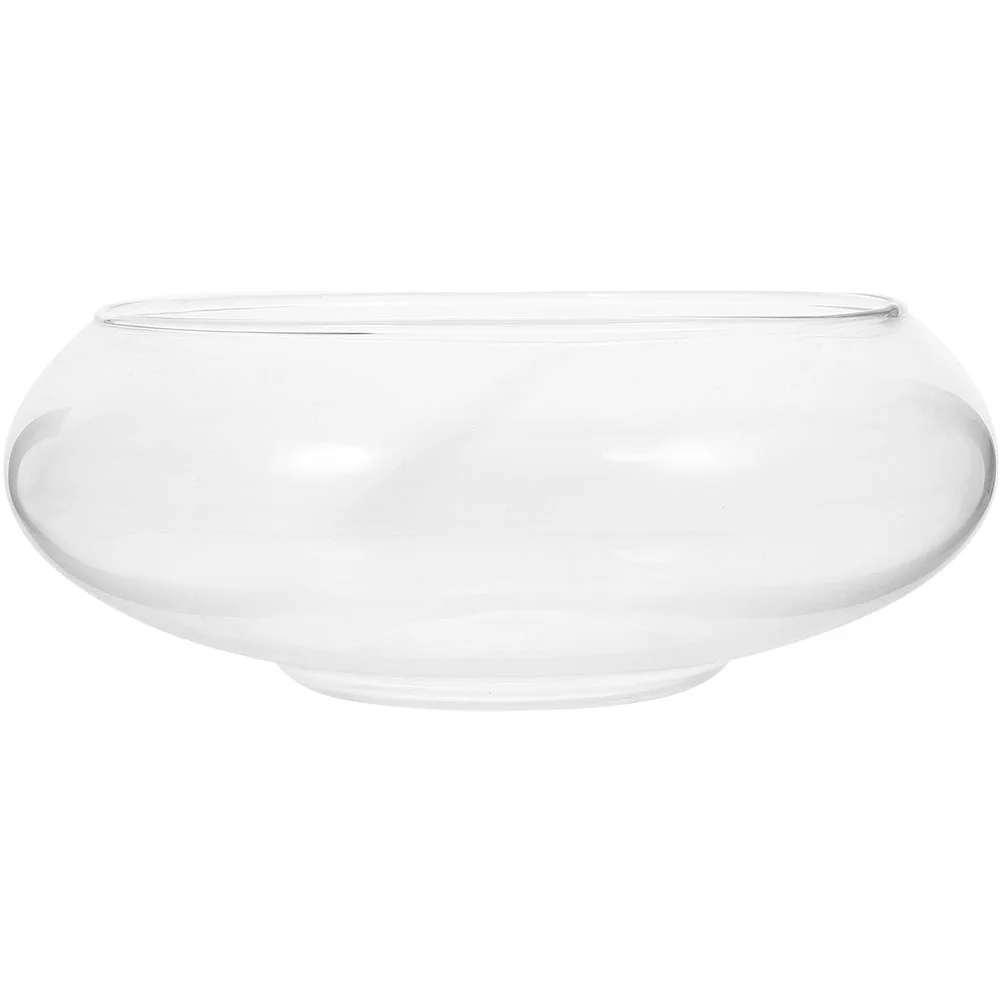 Plant Hydroponic Flower Pot Pots for Plants Small Fish Tank Transparent Glass Air Terrarium