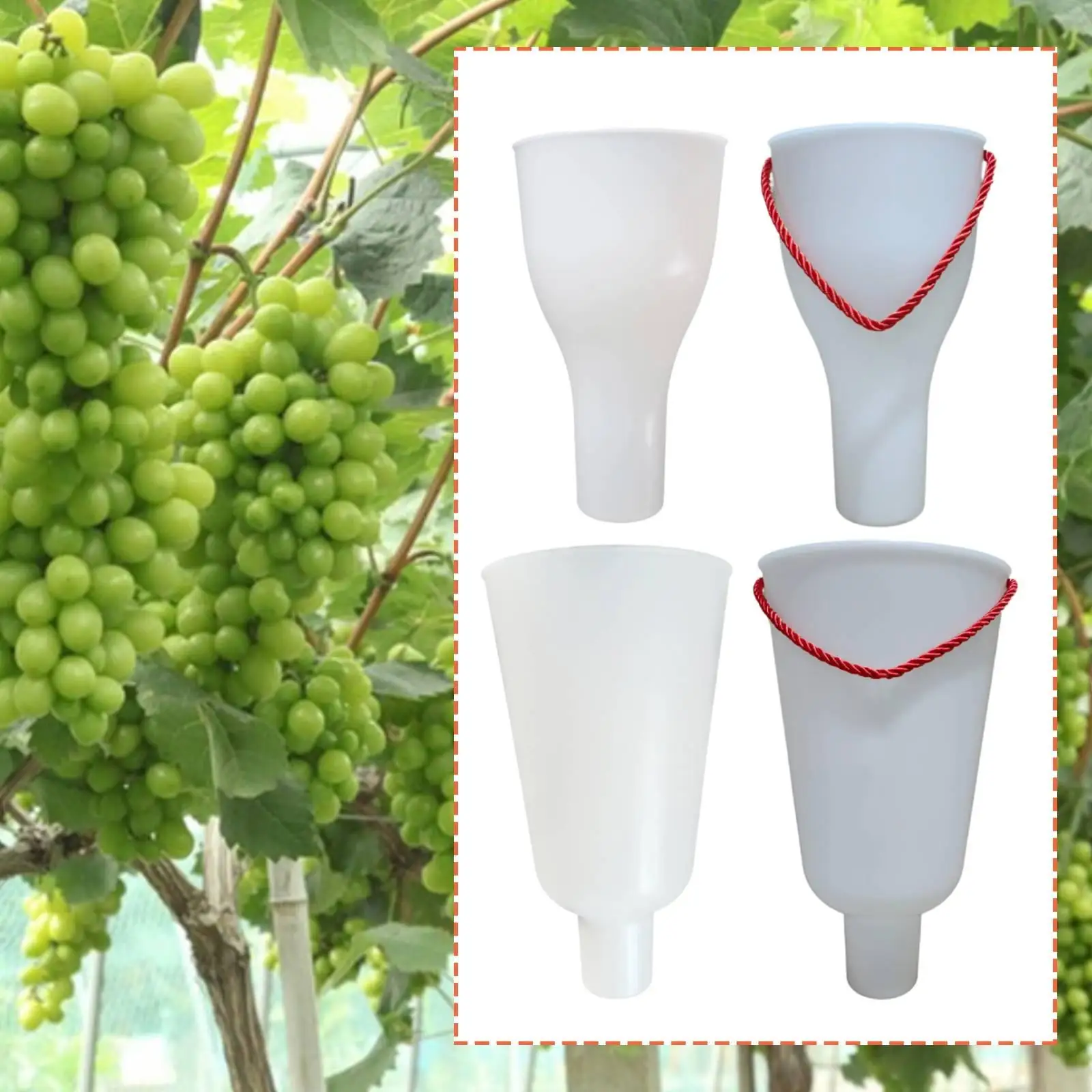 Vaso de plástico para remojar uvas: contenedor infusor para perros