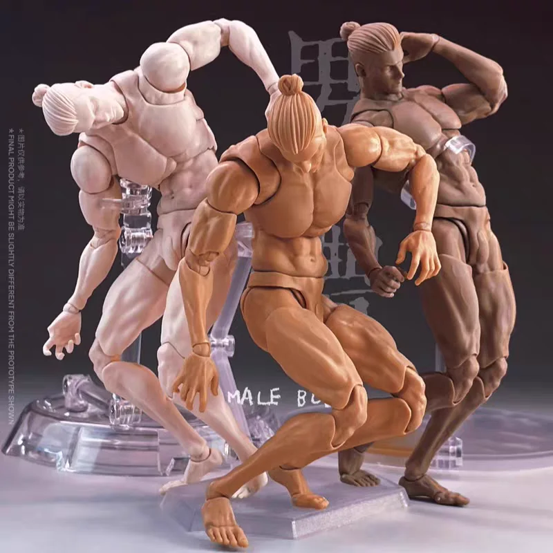 

Romankey X Cowl 1/12 Scale Artical Male Body Action Figure Model Painting Toy Collectible Soldier Mannequin Human Drawing