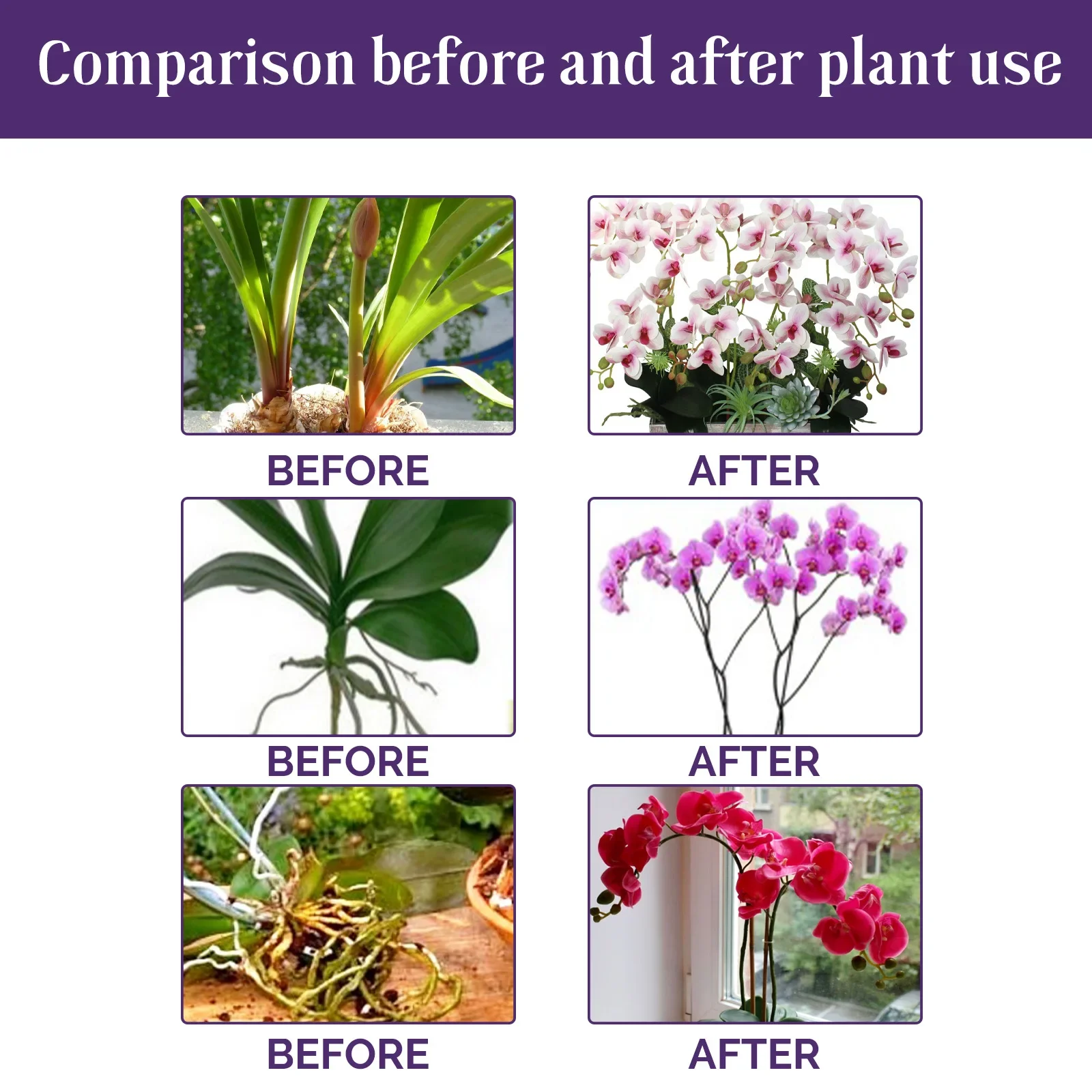 Orchid Liquid Fertilizer 50ml Hydroponic Garden Plant Growth Booster Compound Nutrients Fast Absorption for Flower Care