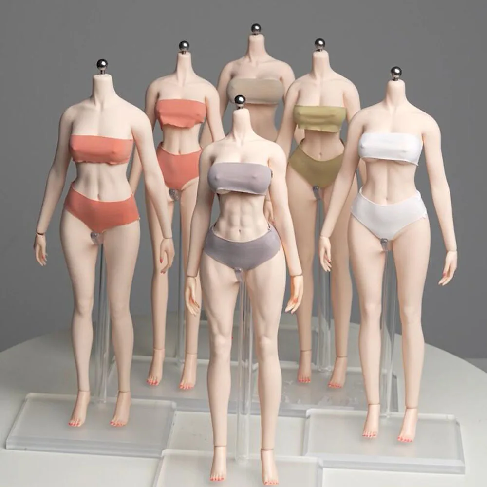 

YM501 YM502 YM503 YM505 YM506 YM507 1/6 Супер гибкий бесшовный корпус с физиологическими деталями 12 дюймов Женский корпус фигурки